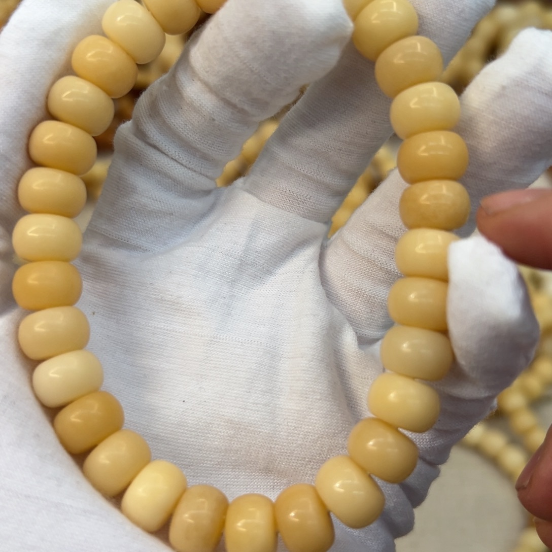 吊坠菩提根/象牙果11干磨树王792