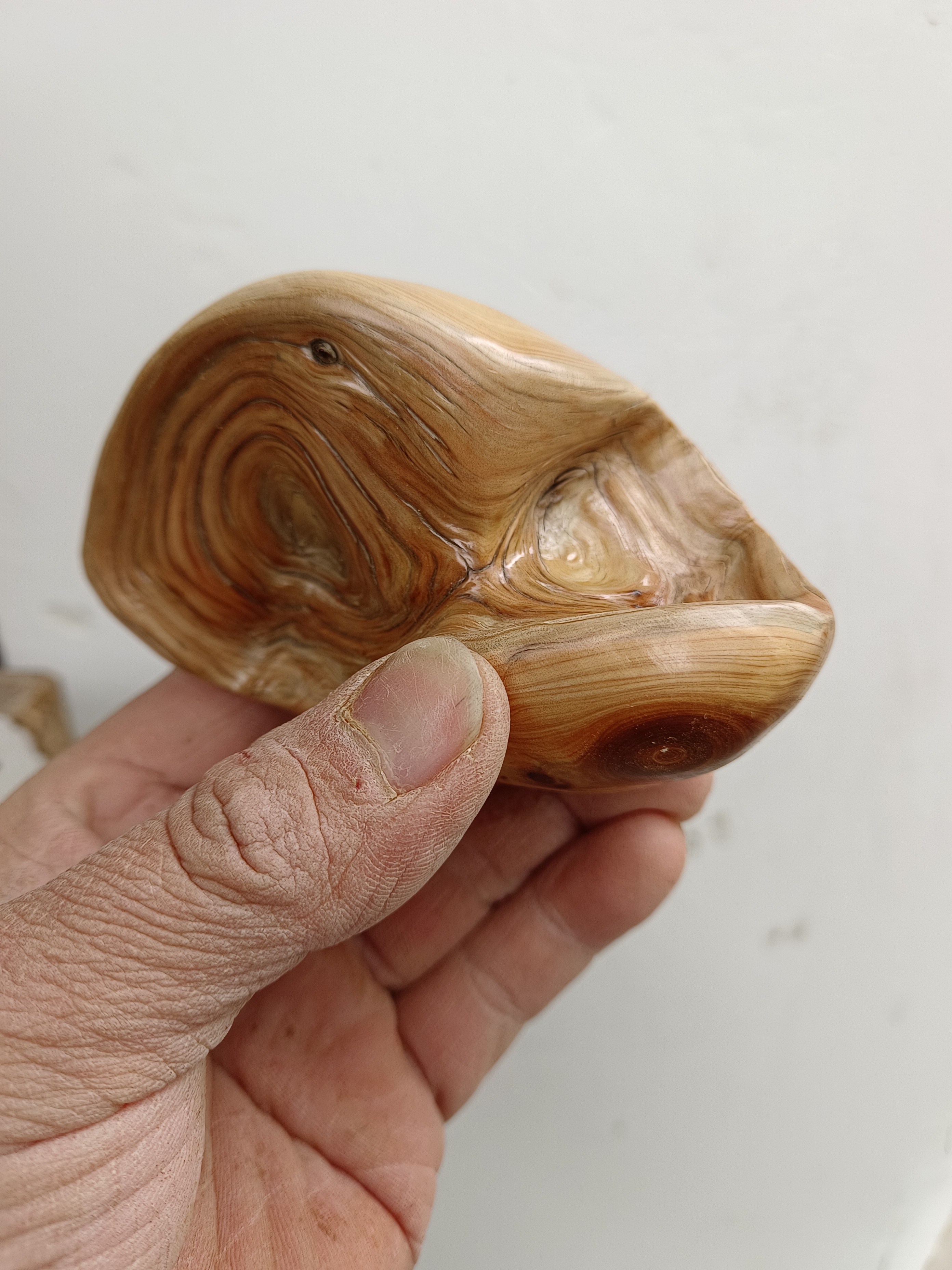 太行悬崖柏木根雕