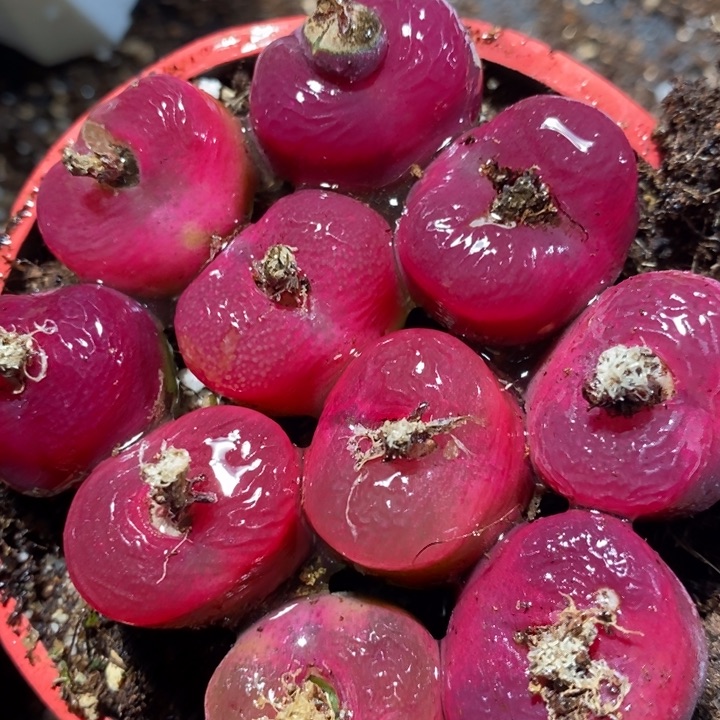 162一组一组一组