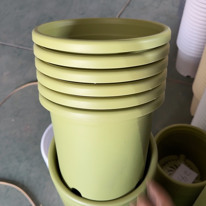 微瑕4#果绿8个无托