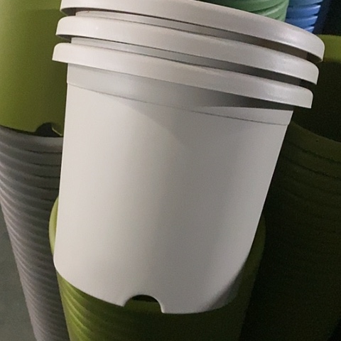 树脂特价5号6个无托灰白