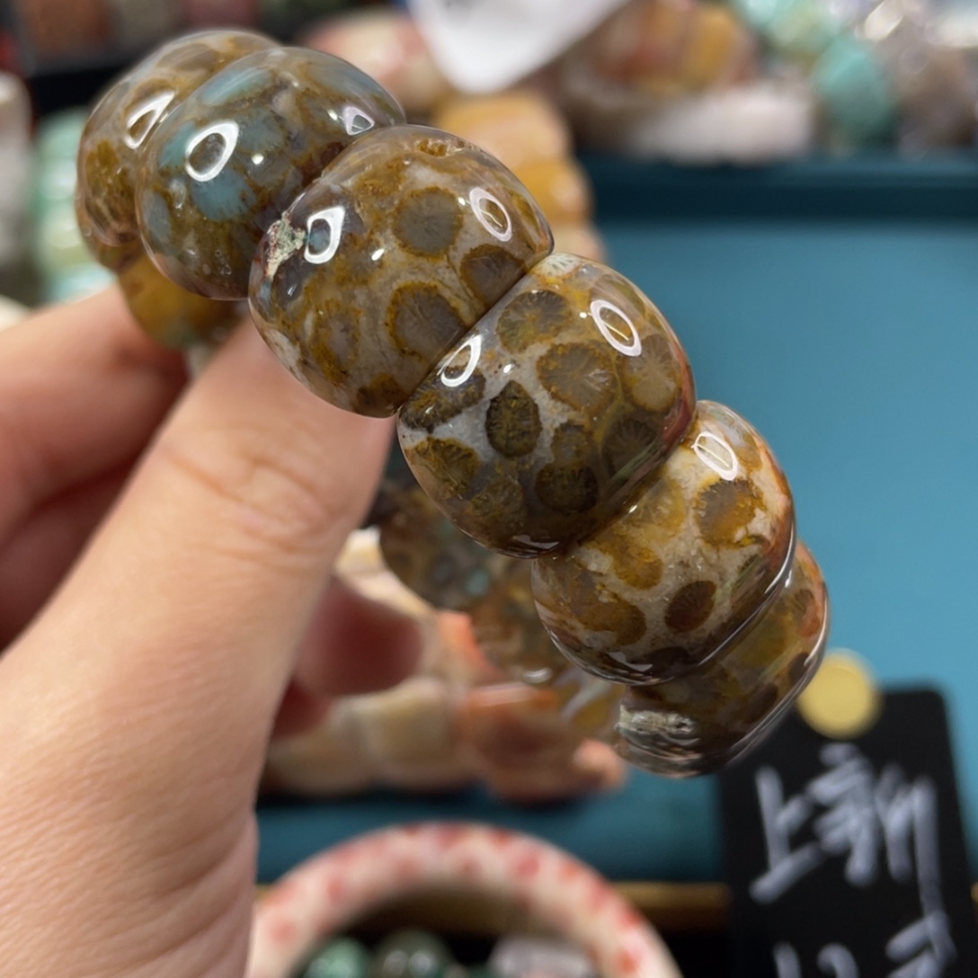 未镶嵌手镯硅化玉