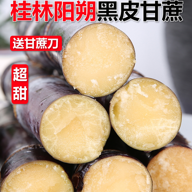 广西黑皮甘蔗新鲜现砍应季水果脆甜多汁产地直发