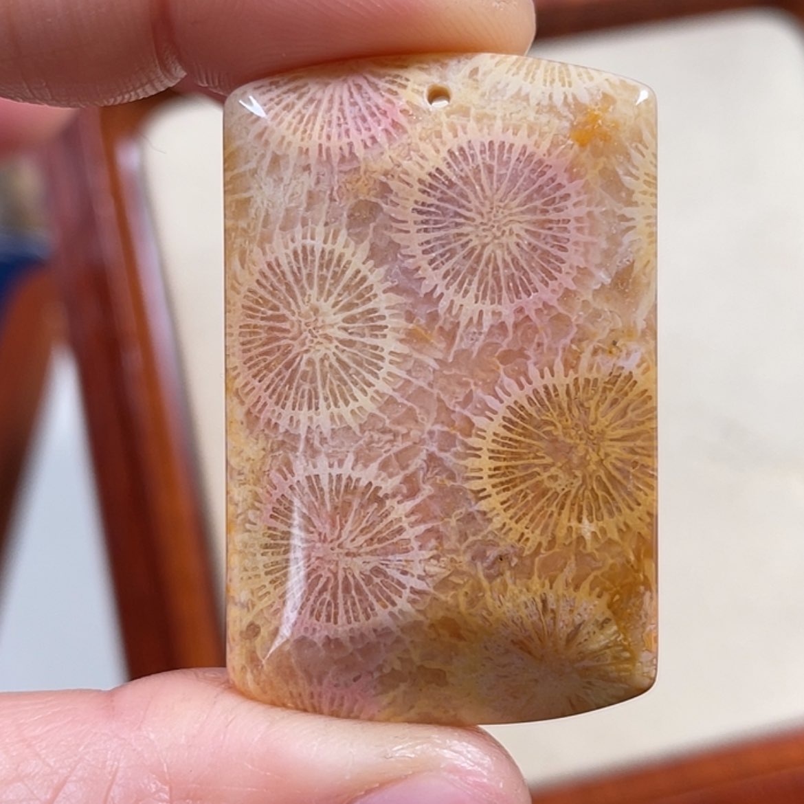 【闪购商品】硅化玉吊坠(赠链)未镶嵌