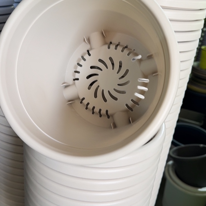 四季3号灰白无托10个特价微瑕