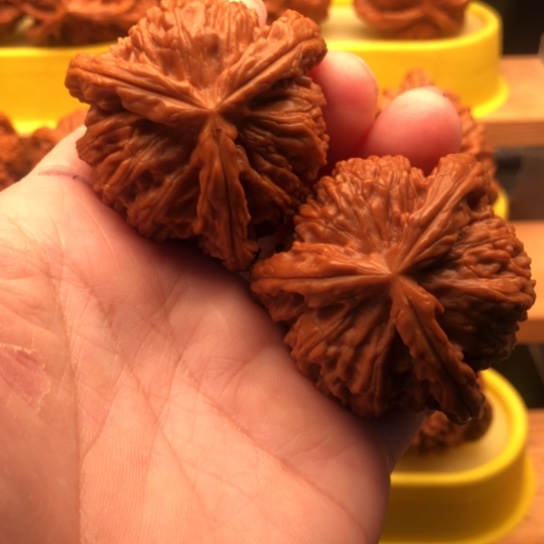 A***K核桃核桃核桃核桃