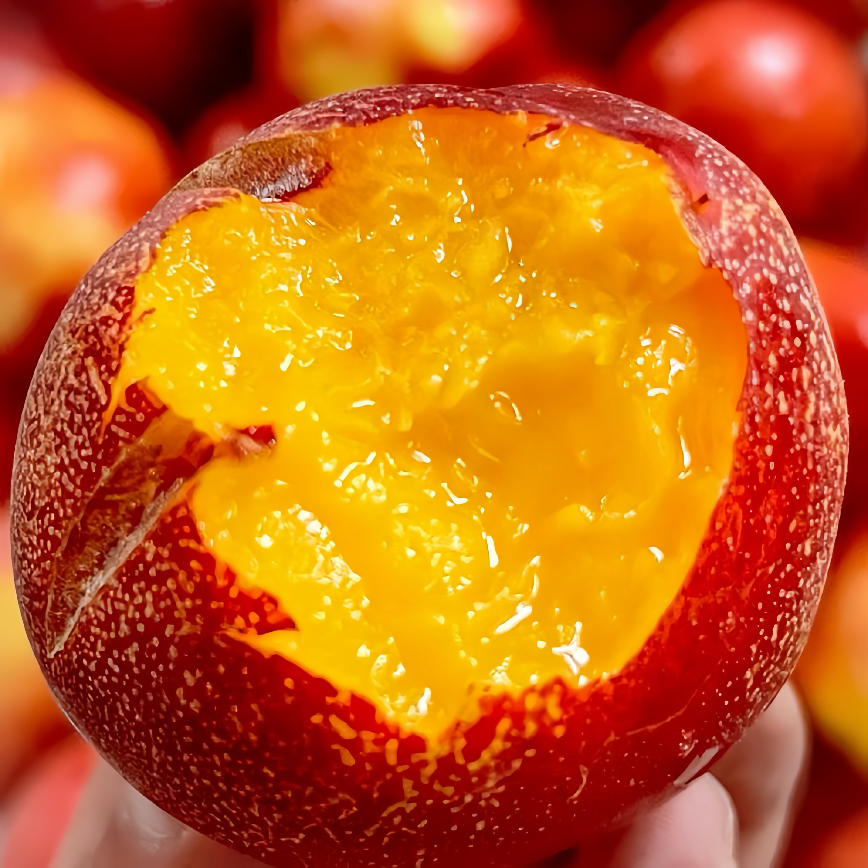 新鲜现摘头茬黄肉油桃带箱5斤！