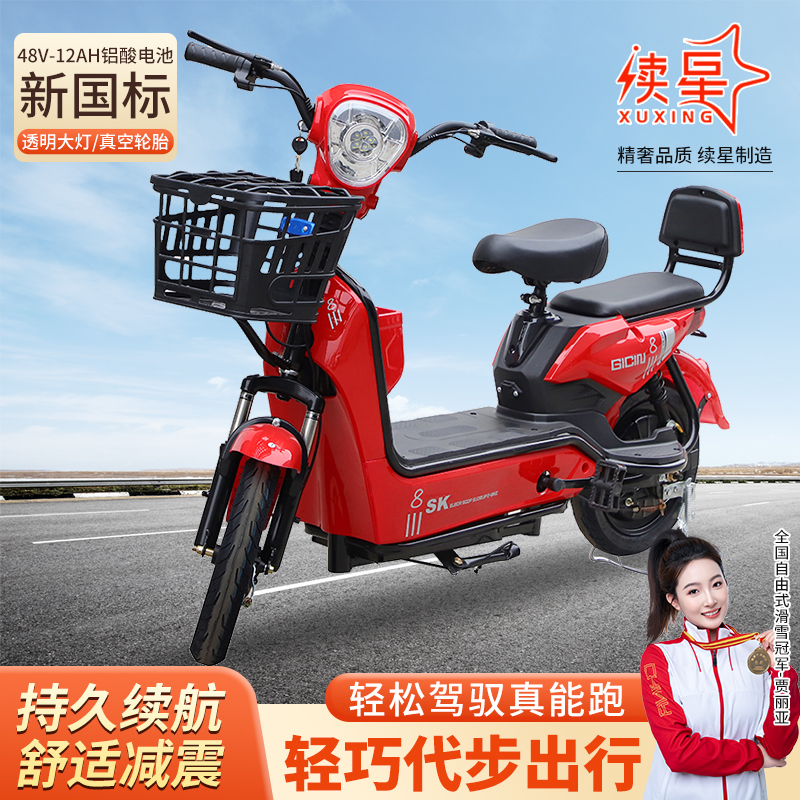 爆款新国标长跑王大电池长续航电动自行车重载王3c可上牌（金鹰）jx