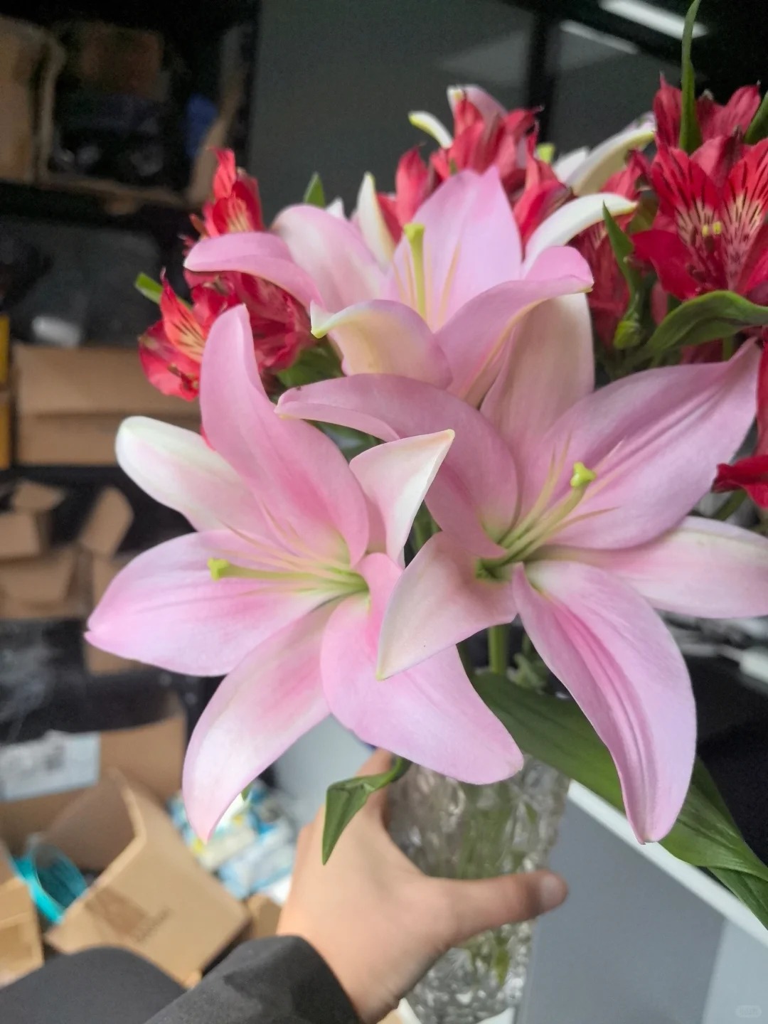【东北直发小粉仙 无香味亚洲百合粉色系节日生日礼品居家办公装饰