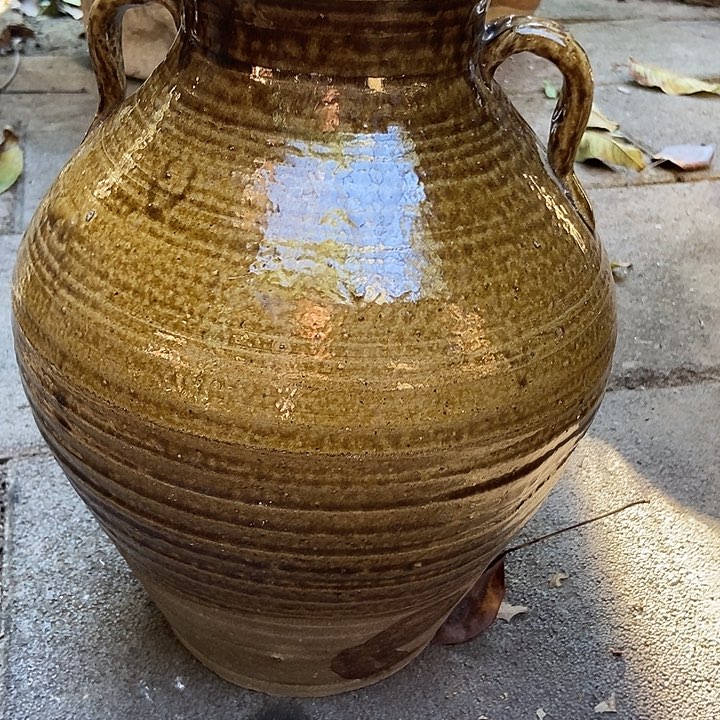 无花朵玫瑰花鲜花鲜花盛开鲜花