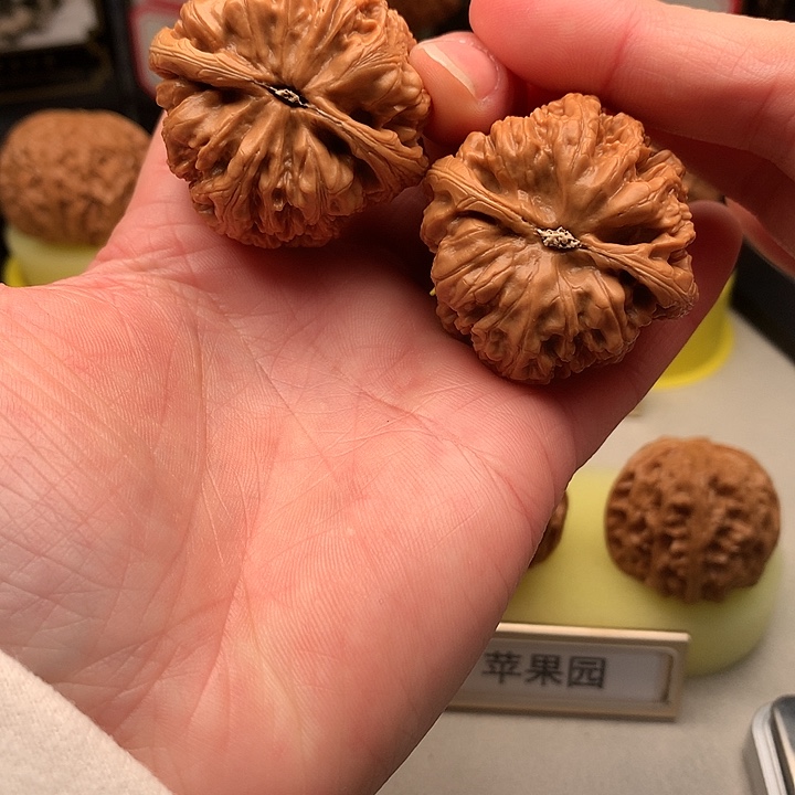 文玩核桃吊坠40尺粗筋623号 