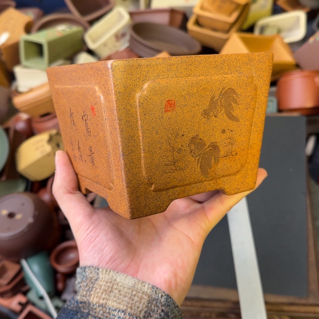 豆***子泥塑vvvvvvvvvvvvv