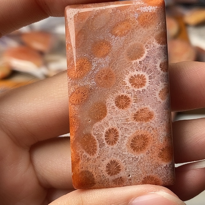 小****硅化玉未镶嵌颈饰