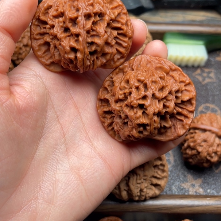 核桃金刚纹金刚纹