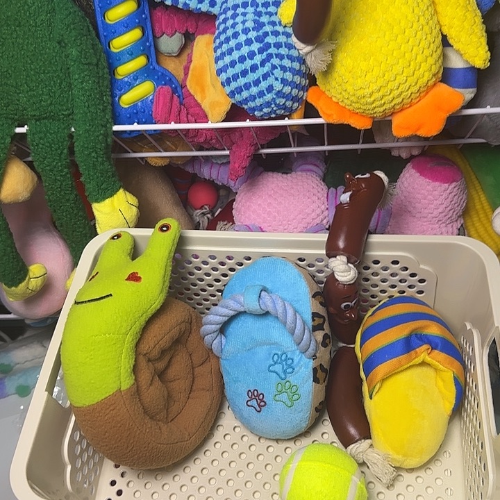 毛绒材质...框里的五款玩具