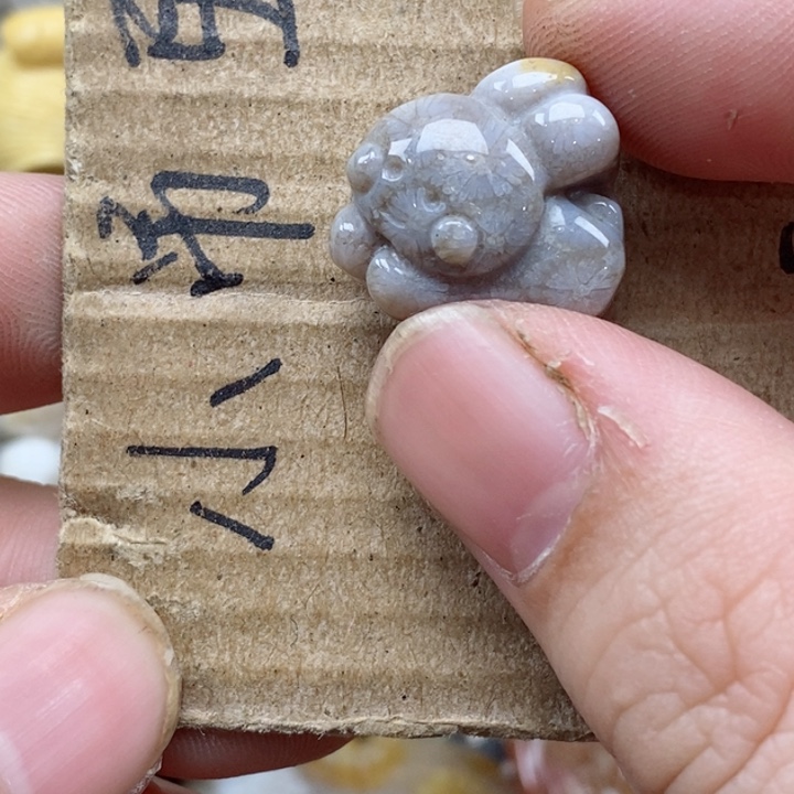 颈饰未镶嵌硅化珊瑚（珊瑚玉）e*g