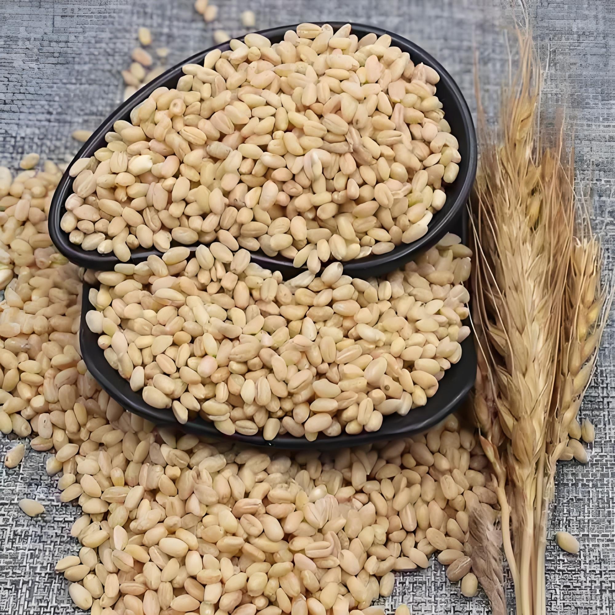 （黄土米妹苗苗）农家小麦仁