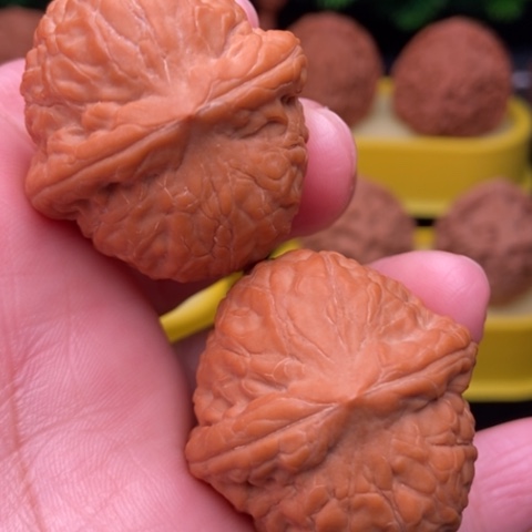 舍利子36.5全品1111111