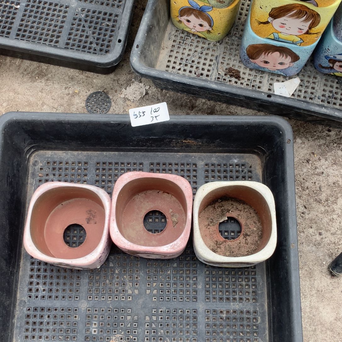 555小盆友手绘3个100元