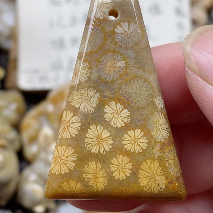 颈饰未镶嵌硅化珊瑚（珊瑚玉）