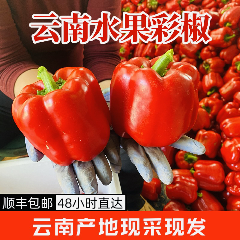 云南彩椒现采现发明星同款彩椒碗现摘辣椒
