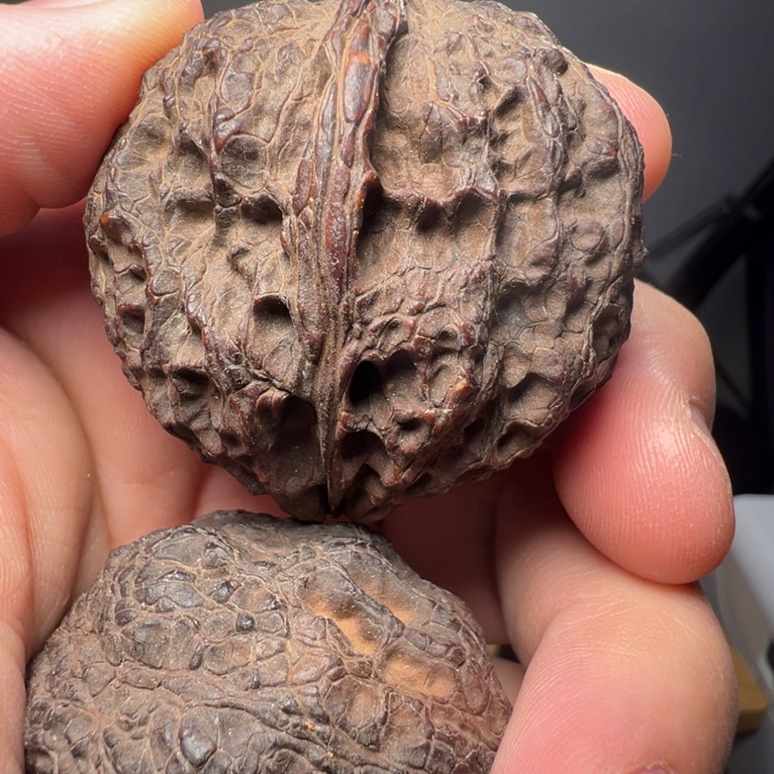 吊坠文玩核桃貔貅金蟾44mm