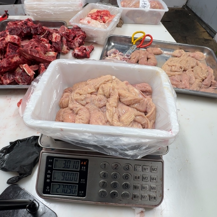 家***712个月中国大陆马肠子粗细