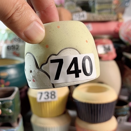 红陶多肉植物花盆