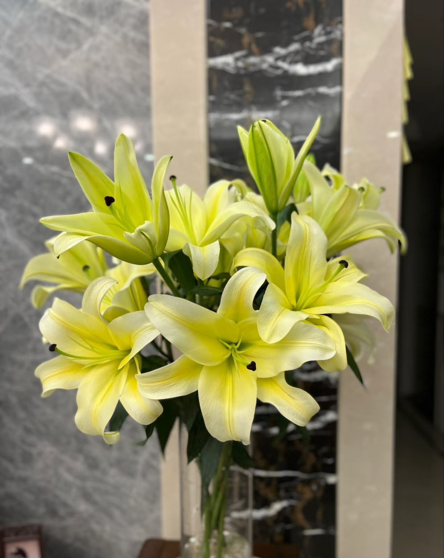 黄天霸--单瓣百合浓香型