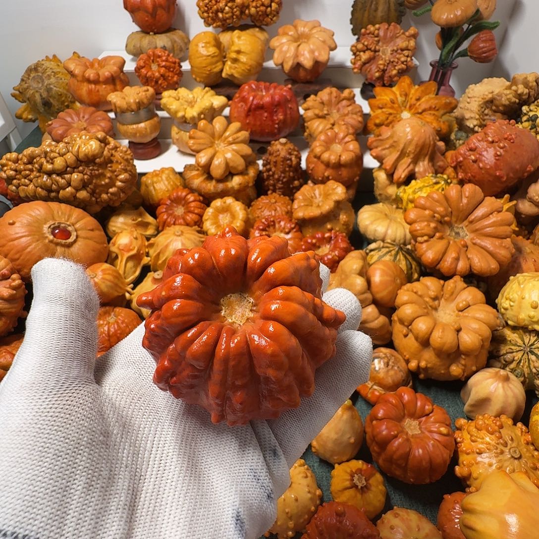 我***墨西哥葫芦精品聚宝盆