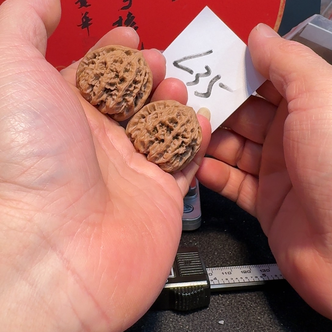 文玩核桃把件35野牛