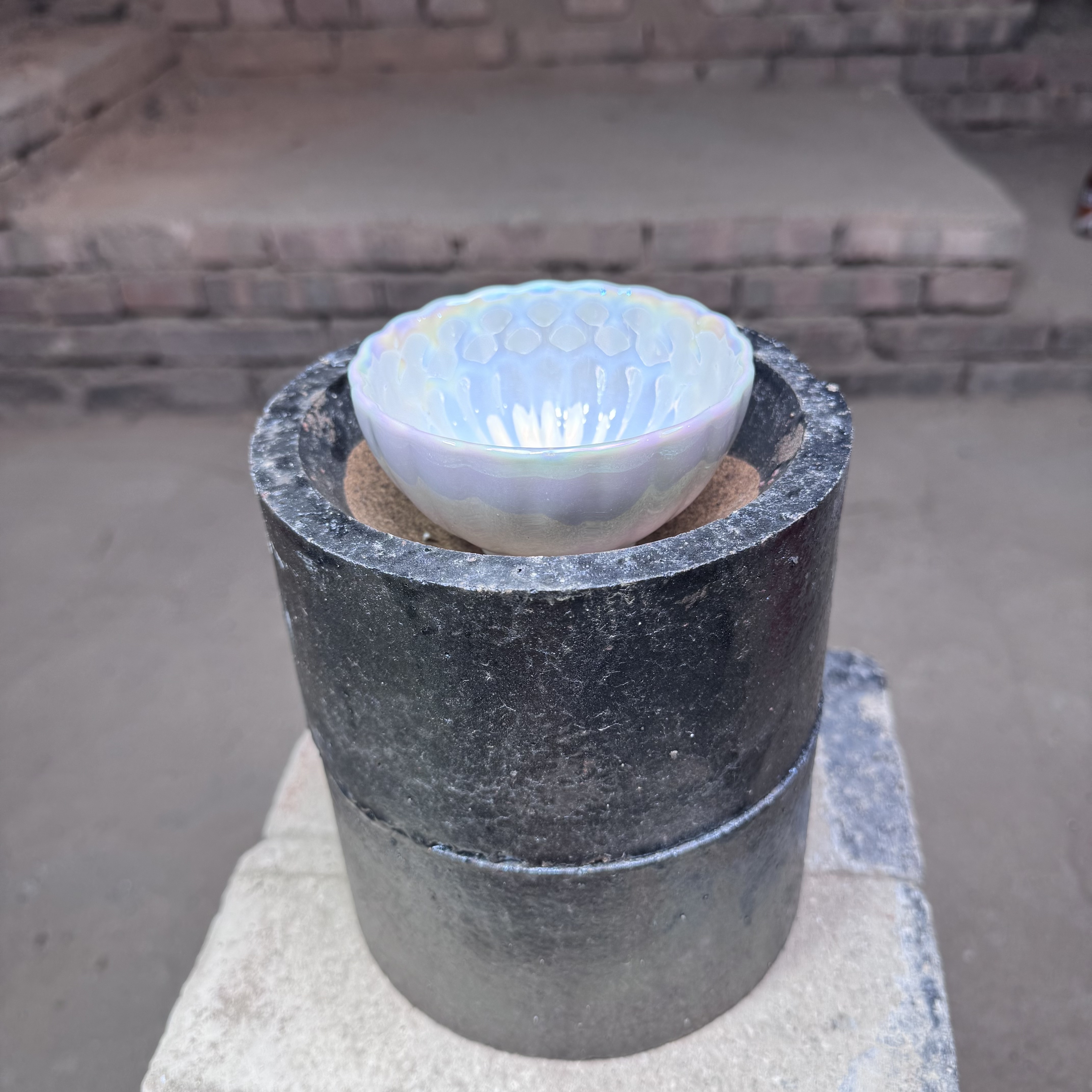 茶盏柒禾闪购链接   白贝彩曜主人杯