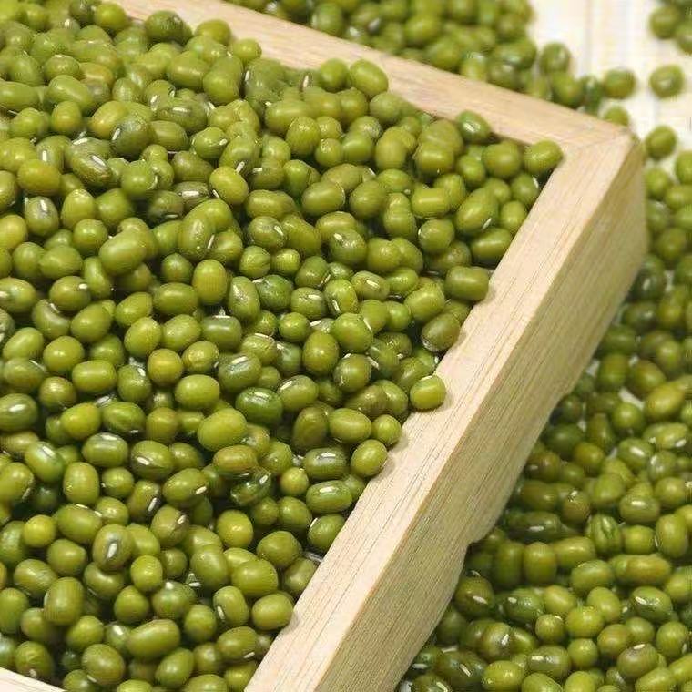 【广电助农】绿豆农家自种