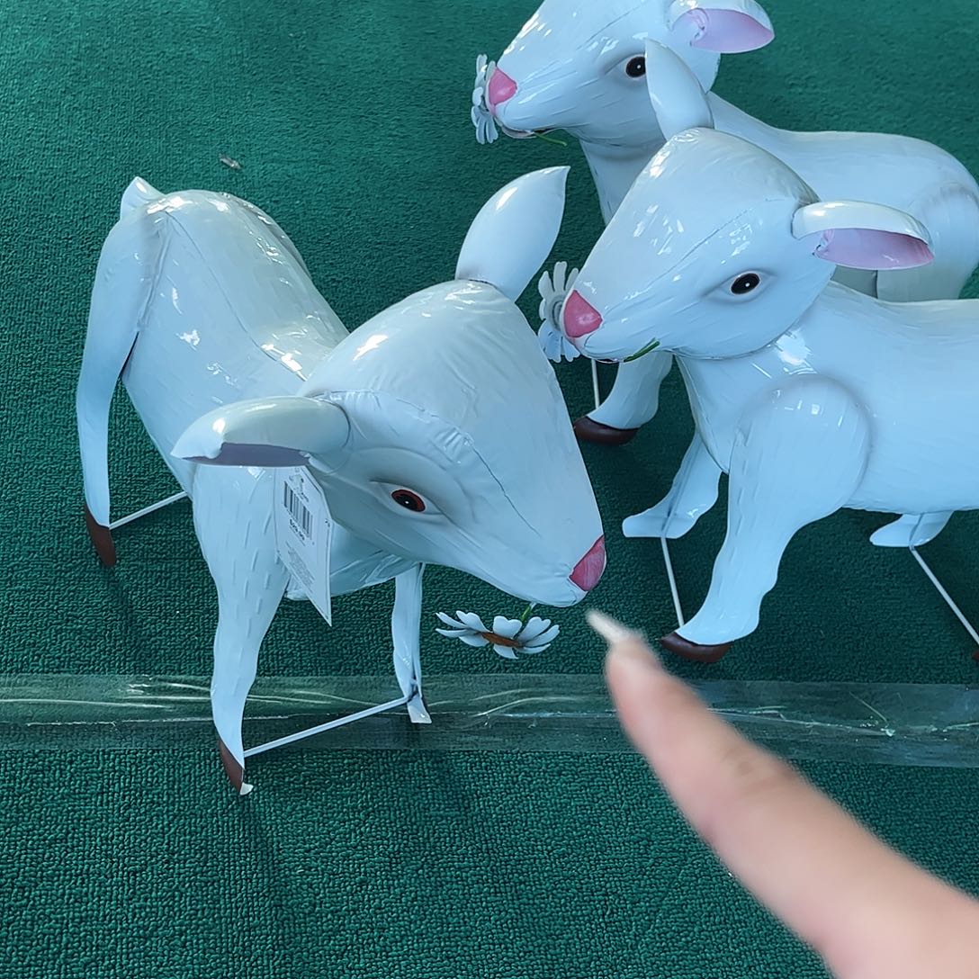 孤品给力炸炸炸炸炸炸