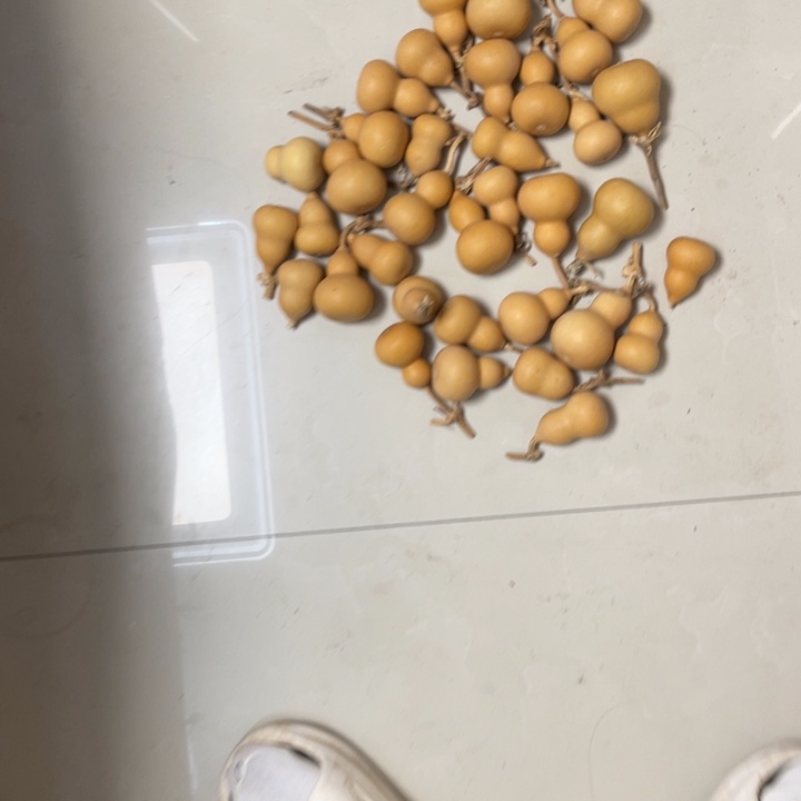 文***～葫芦岛地区有哪些问题
