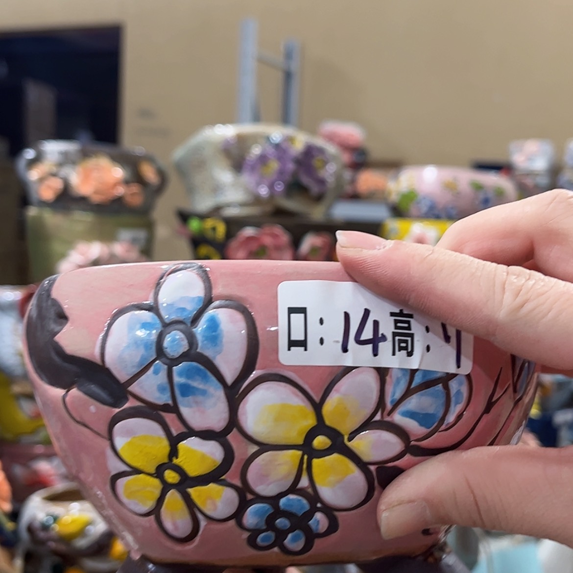 【闪购商品】红陶福利