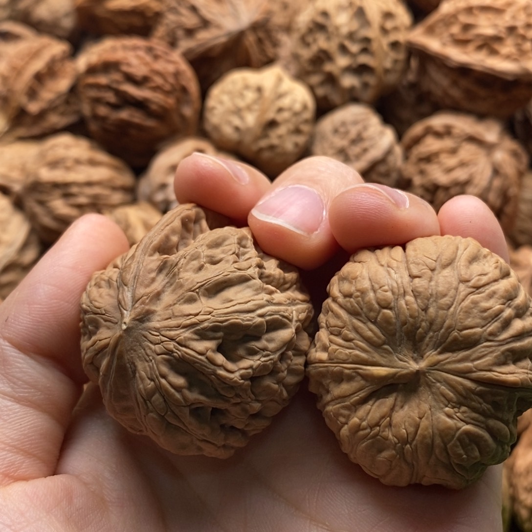 岁***静核桃定制商品不退不换