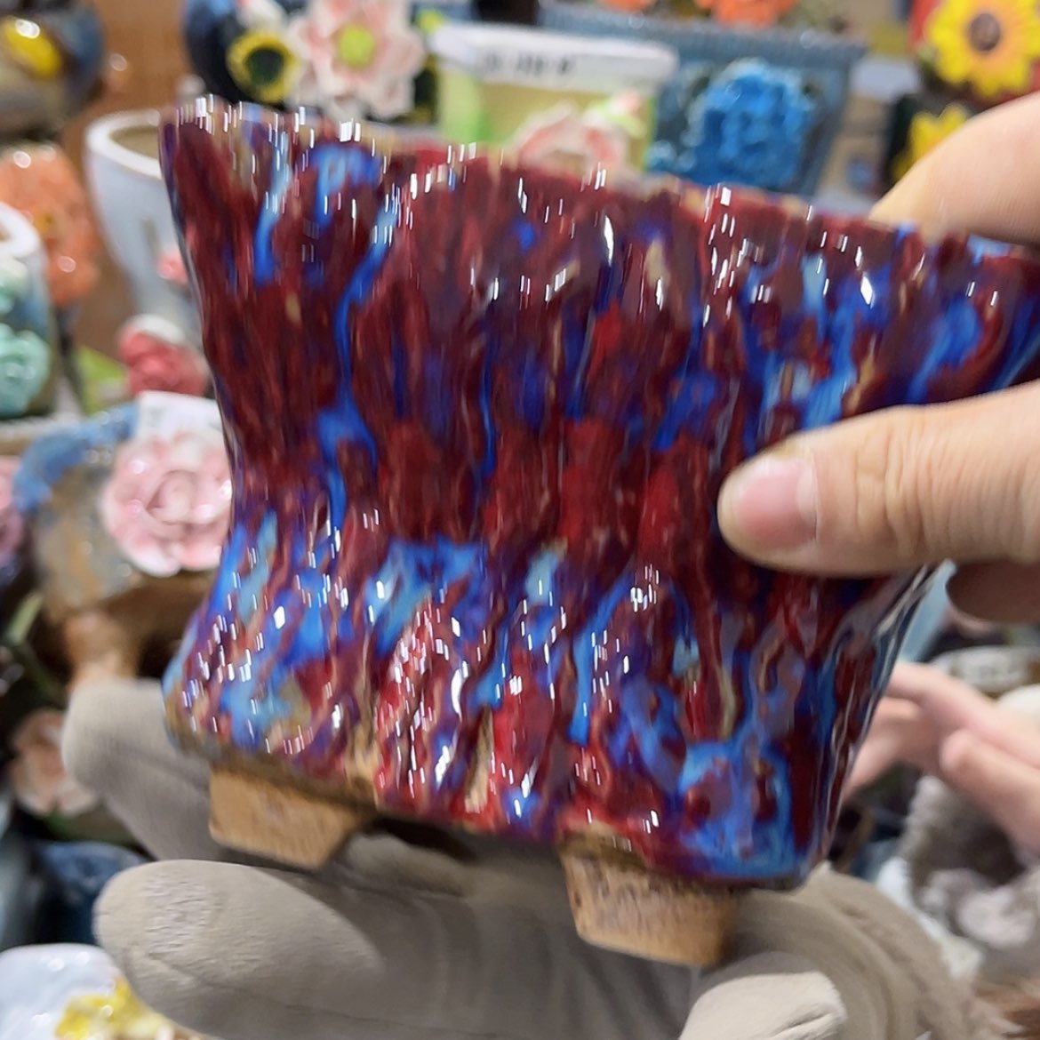 【闪购商品】红陶福利