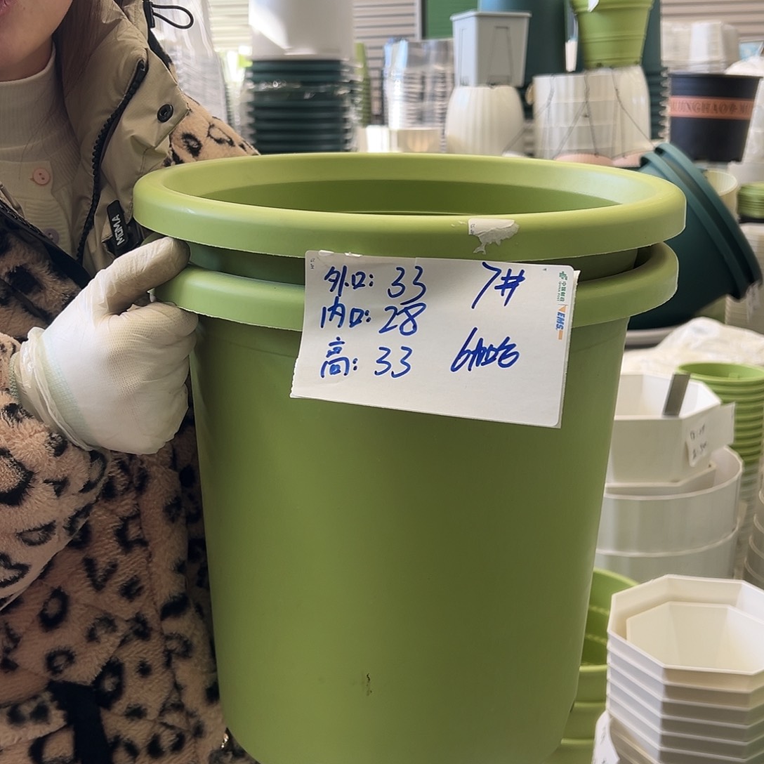 四季盆7#果绿6个无托