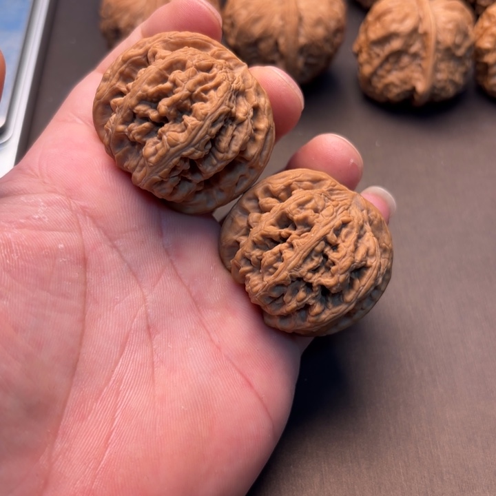 你***鹰大叶紫檀（黑酸枝木类）粗筋