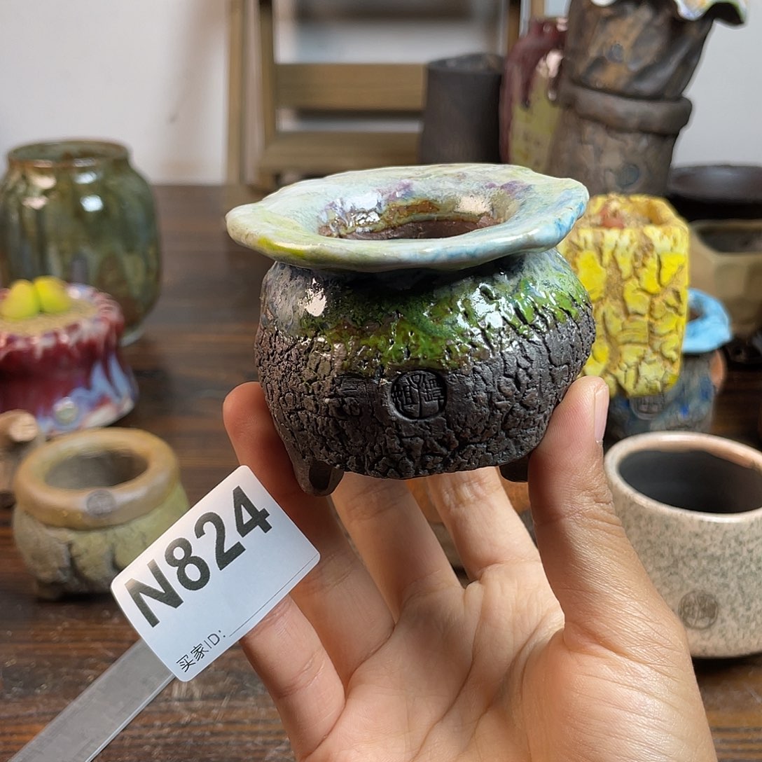 坛子姐花盆 双十二限时福利 默认微次