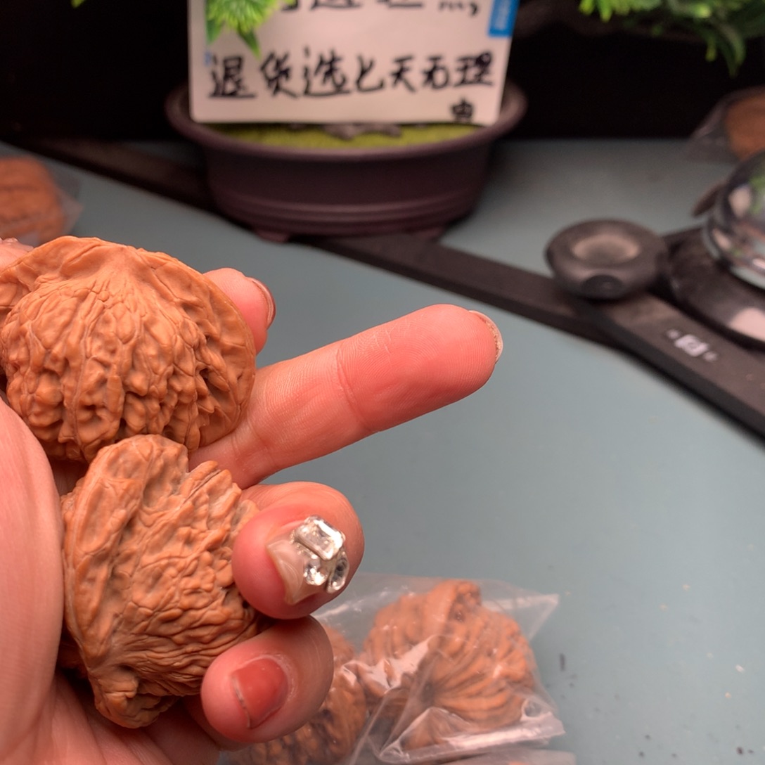 文玩核桃把件山地楼4647