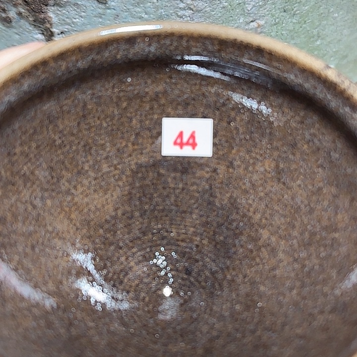 茶盏只有我们才可以真正理解他