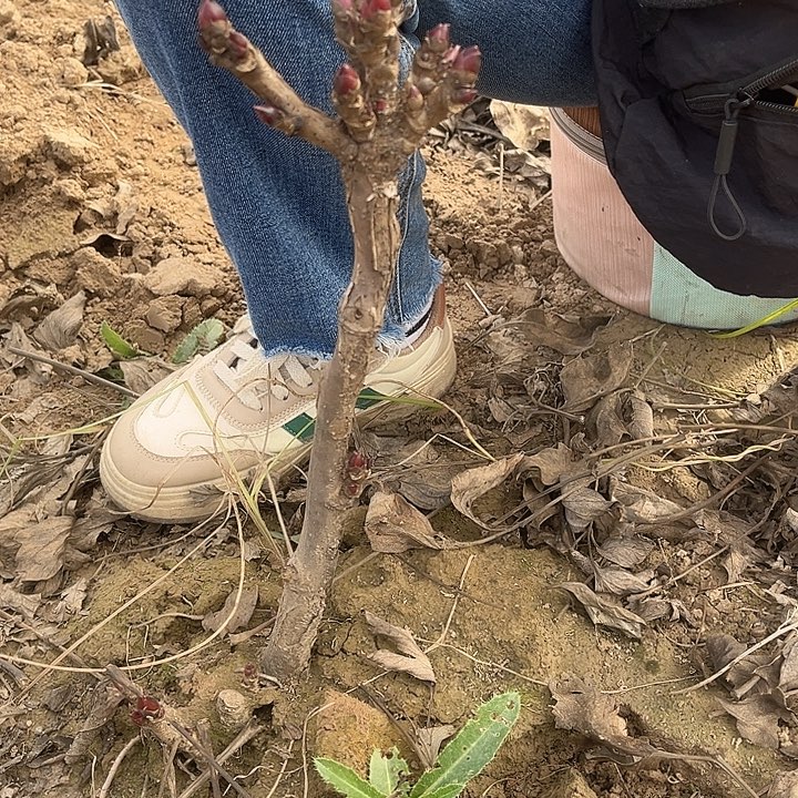 完全开放111111111111111