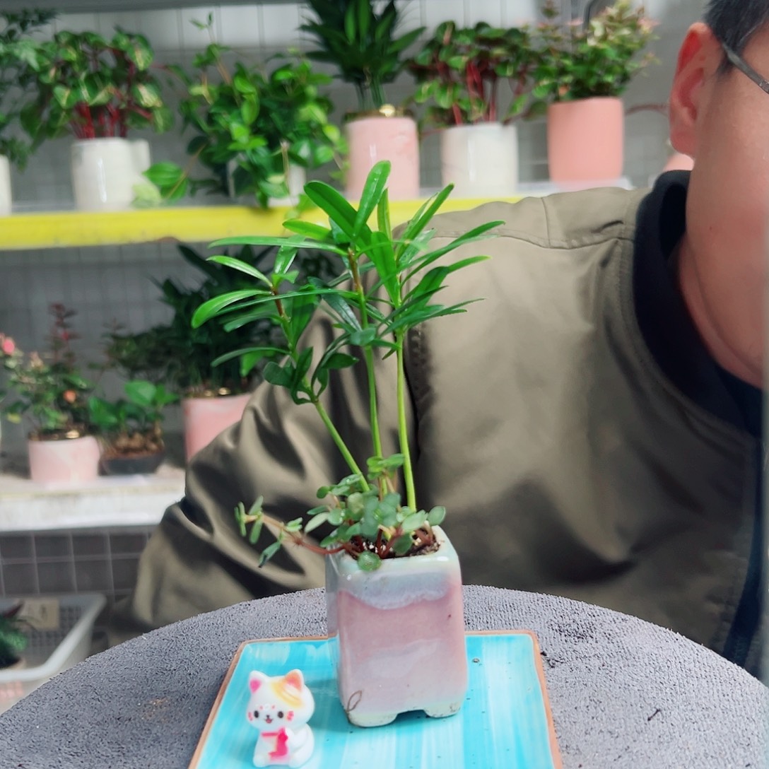 嘟***爸无花朵13              