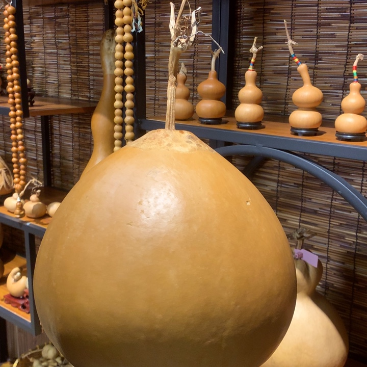 ****月中号尺寸大小尺寸的尺寸