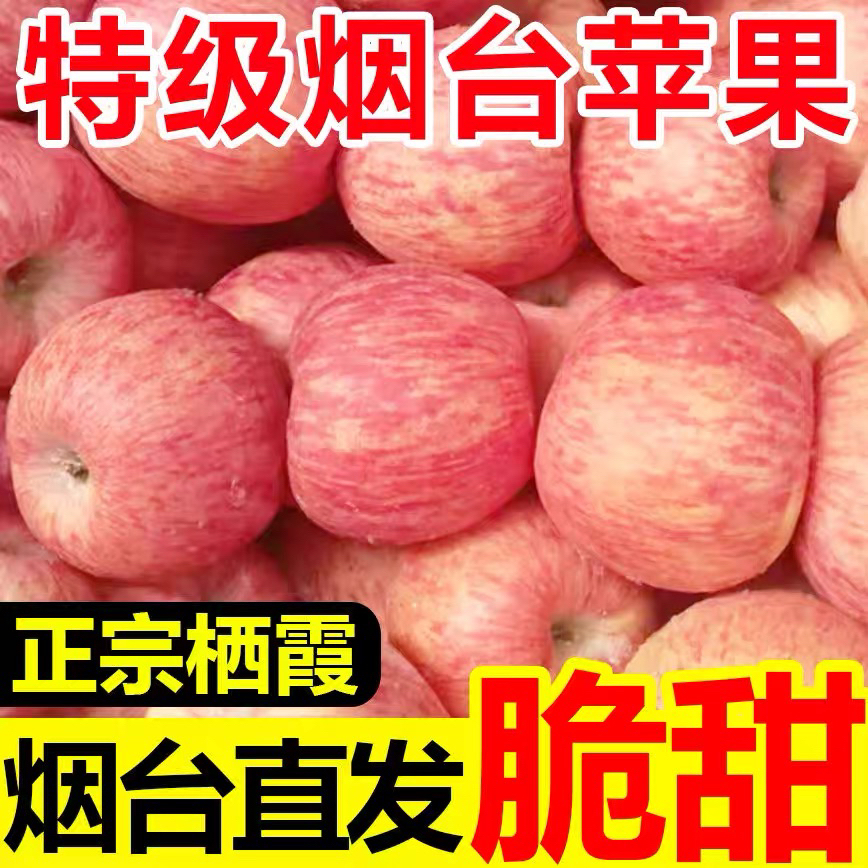 烟台栖霞红富士苹果新鲜脆甜多汁当季应季水果