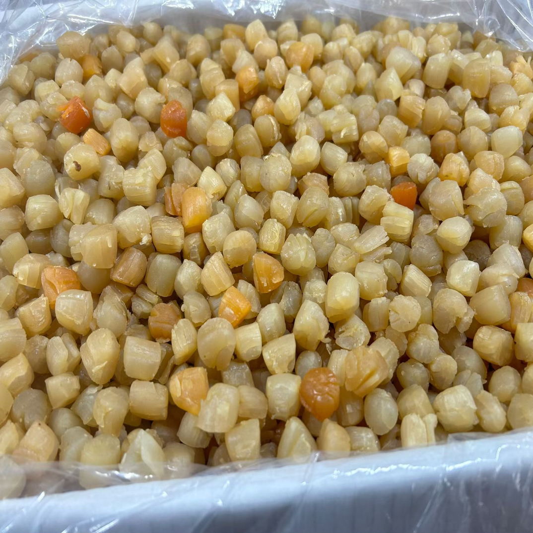 大连当地鲜贝煲汤煲粥营养丰富一斤400粒