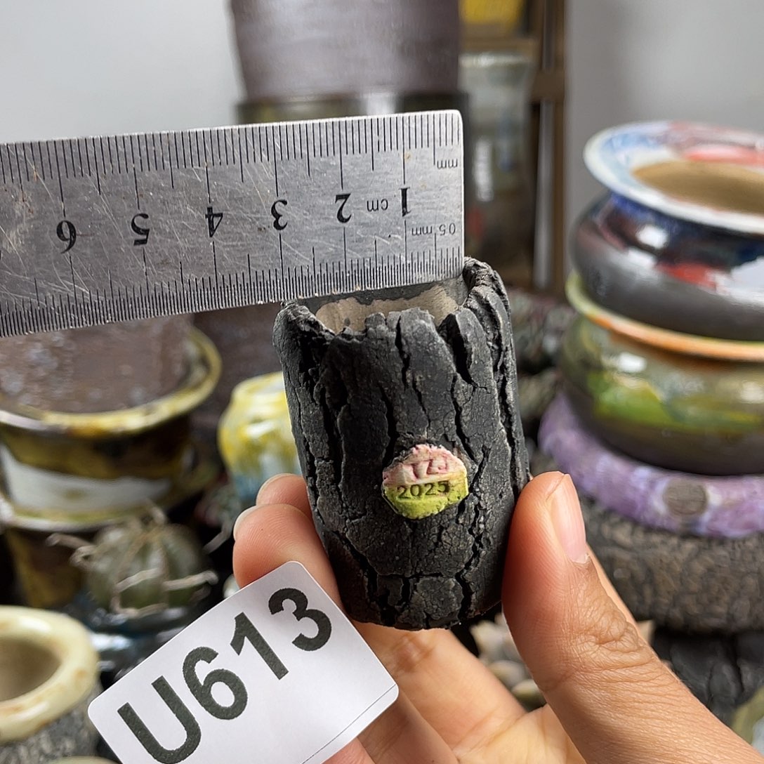 默认微次 元旦福利 坛子姐花盆