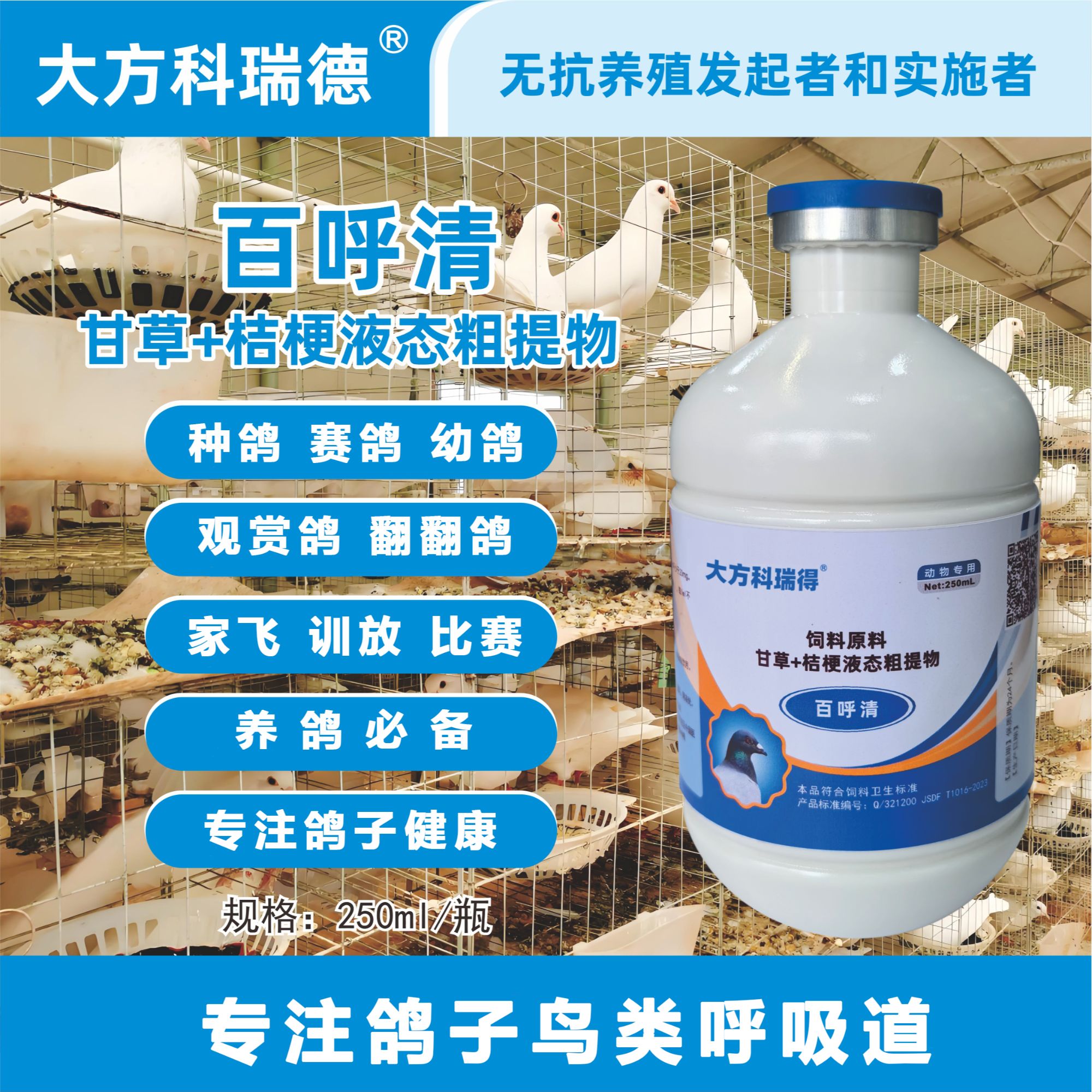 科瑞得百呼清保健呼吸道打通赛鸽种鸽幼鸽观赏鸽都用品鸽子鹦鹉
